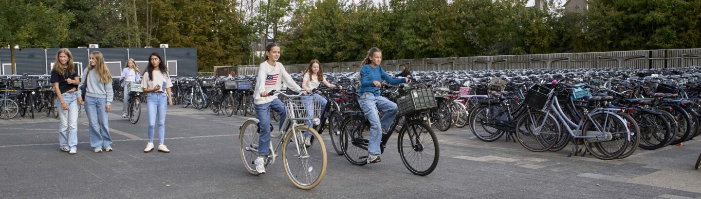 Hoera geslaagd! - 2College