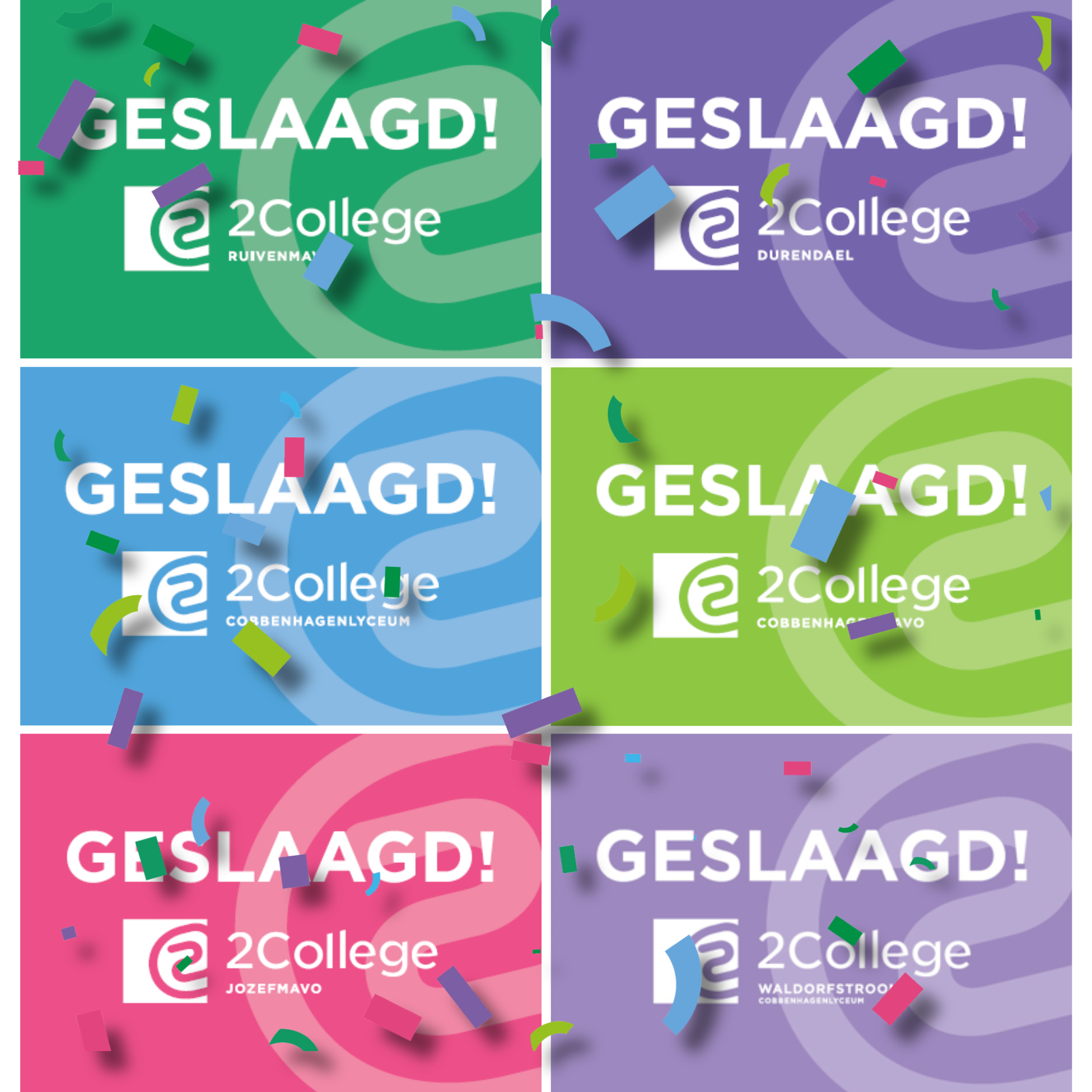 Hoera geslaagd! - 2College